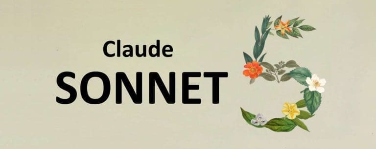 Claude Sonnet 5